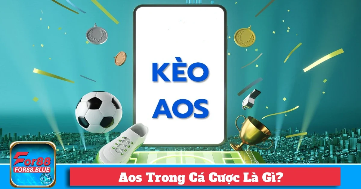 aos trong ca cuoc la gi 4