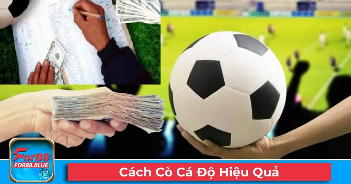 Cách Cò Cá Độ Hiệu Quả Và An Toàn Tại Thể Thao For88 2 Cách xây dựng mối quan hệ và kiếm hoa hồng ổn định